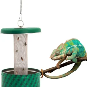 Bearded Dragon Feeder Chameleon Bug Bowl Reptile Feeder Box Wall-Mounted Insect with Suction Cups Tank and Aquarium Accessories