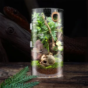 Jumping Spider Cylindrical Enclosure Front Opening Door Mesh Fence Pet Reptile Terrarium For Hobbyist Home Desk Halloween Gift