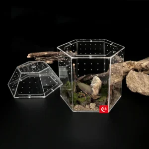 Reptile Breeding Box Acrylic Mini Tarantula Enclosure Full Transparency Spider Tank for Spiders Tarantulas Snail Lizard Reptiles