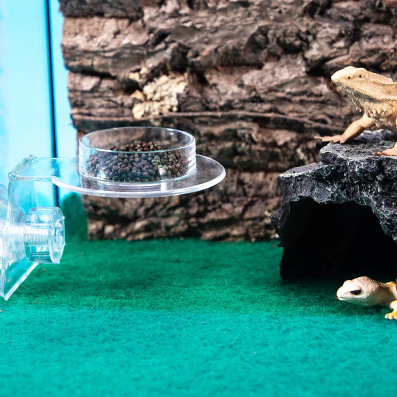 Acrylic Crawling Pet Feeding Water Bowl with suction cup Turtle Lizard Scorpion Snake Bird Hamster Feeding Food Bowl - Image 4