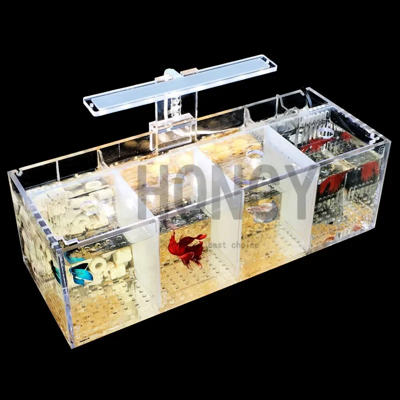 HONGYI 1 piece acrylic bettas cylinder isolated fish tank tilted water pump breeding cylinder baby betta tank guppy breeding - Image 3