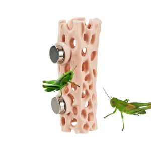 Jumping Spider Habitat Magnetic Reptile Shelter Gecko Habitat For Spider Climbing Terrarium Frog Gecko Amphibian Enclosure