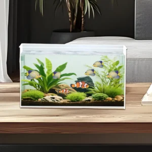 Small Aquarium Betta Tank Extra Clear Glass Terrariums Shrimp Spider and Bowl Mini Habitat for Men Women and Temporary Space