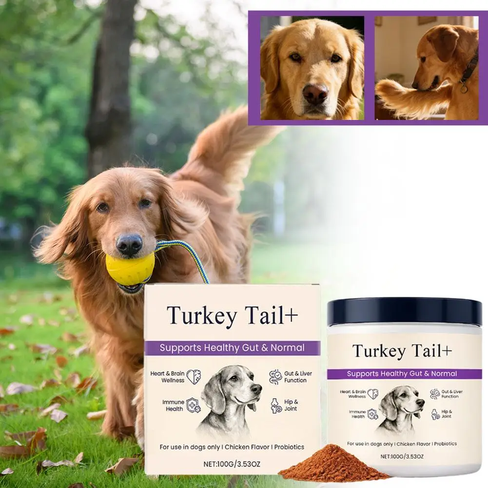 Dog Probiotic Intestinal Powder 100g Delicious Bacon Flavor Gut Flora Balance Digestive Support for Dogs Nutritional Supplement