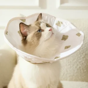 Cartoon Pet Elizabeth Circle Bear Printing Soft Pet Protective Cover Anti-Scratch Breathable Pet Anti Lick Cover for Dogs Cats