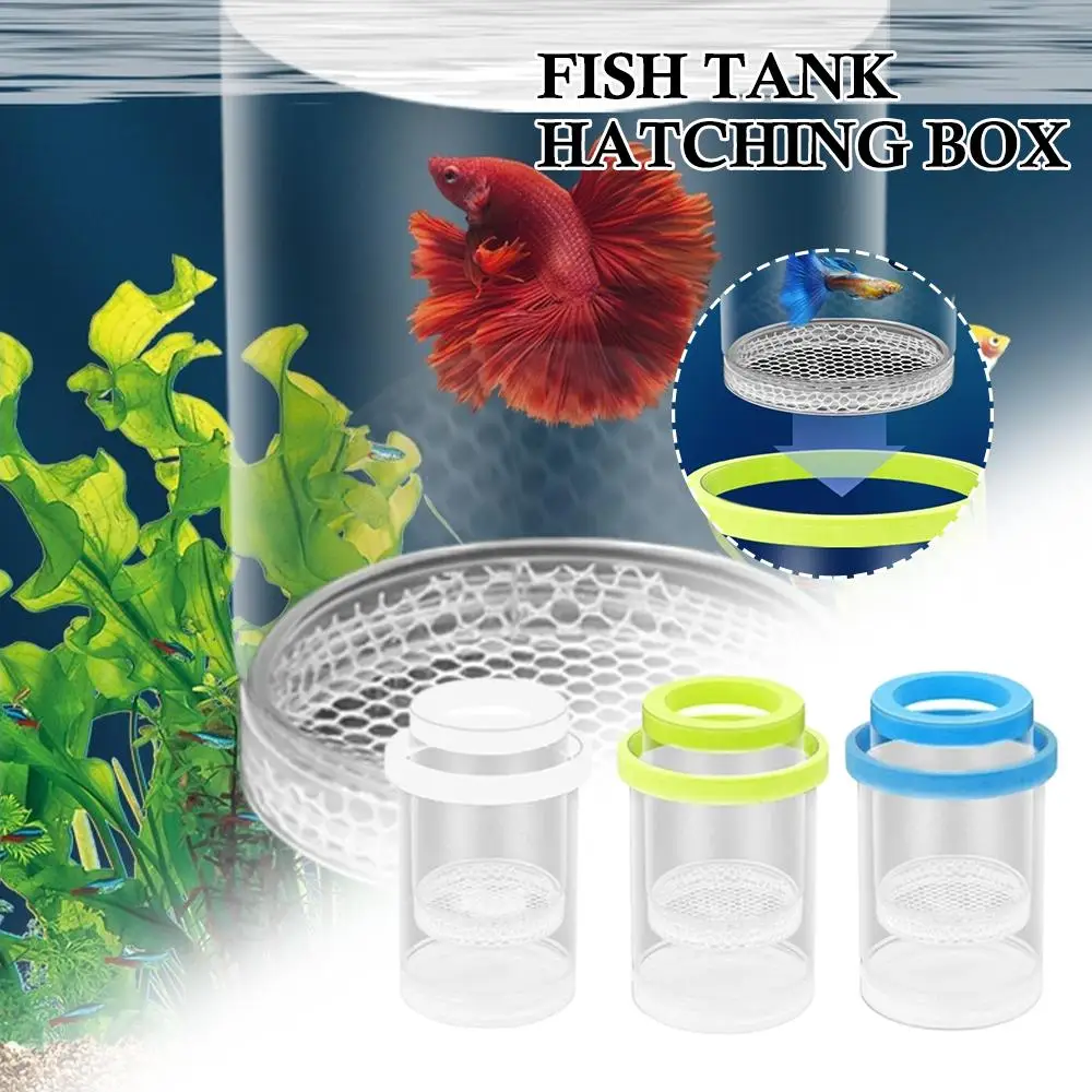 Floating Fish Breeding Isolation Box Fish Tank Hatching Incubator Small Fish Birthing Room Incubator Aquarium Breeder Tools - Image 2
