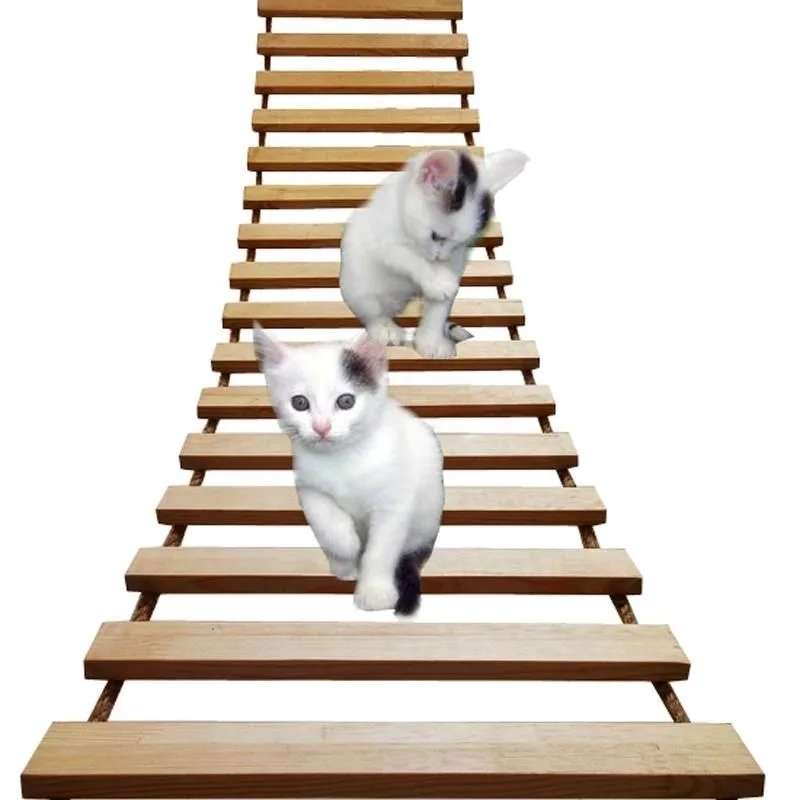 Toys Wall-mounted Activity Cat Wood Sisal Scratcher Climber Furniture Cat Bridge Rope Steps Kitten Ladder Kitten Post Wall - Image 5
