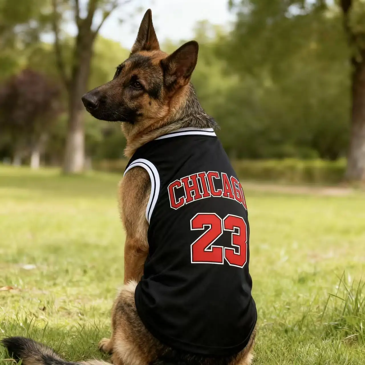Summer Cooling Pet Dog Mesh Vest Chicago Soft Basketball Clothes Summer Casual Shirt For Medium Large Dog Labrador Pet Clothing - Image 4