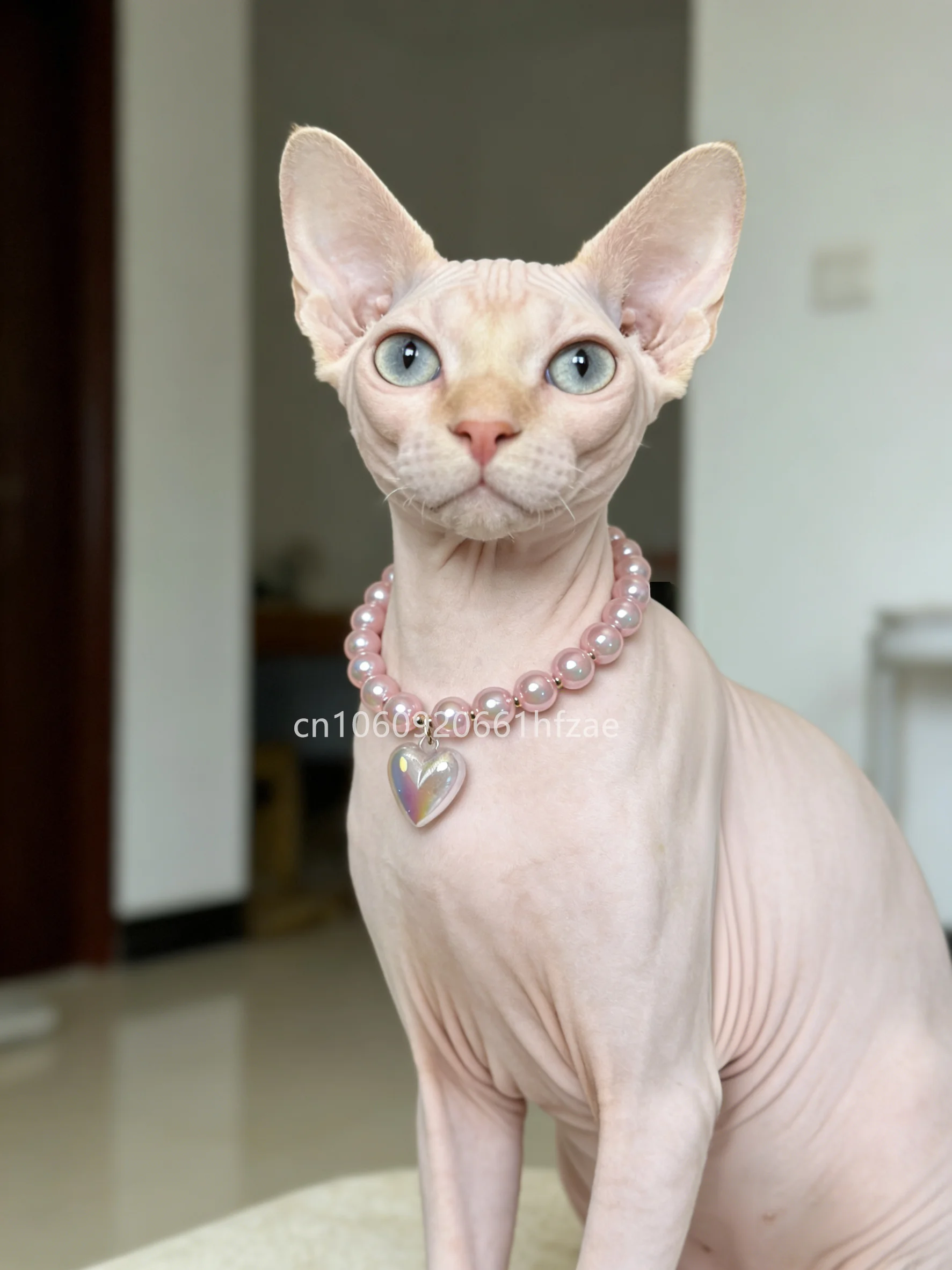 Pink Color Beads Cat Collar Pet Pearl Shape Necklace Dog Callar Jewerly Heart Charm Love Pendant Pet Products Cat Birthday Gift - Image 6