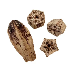 Natural Material Pet Parrot Toy Bird Paw Grinding Biting Wooden Toys Pet Parrot Macaw Hammock Bird DIY Toy