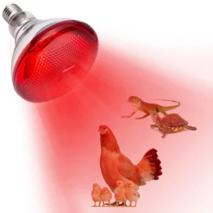 100W-275W Breeding Heating Lamp E27 Screw Base Waterproof Infrared Red Light Heat Lamp for Piglet Chicken Duck Birds Bulb Lights