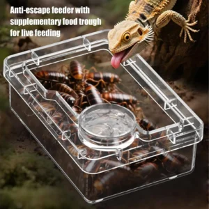 Chameleon Feeder Bearded Dragon Food Bowl Small Animal Feeders For Spider Lizard Tortoise Cage Tank Chameleon Habitat Terrarium