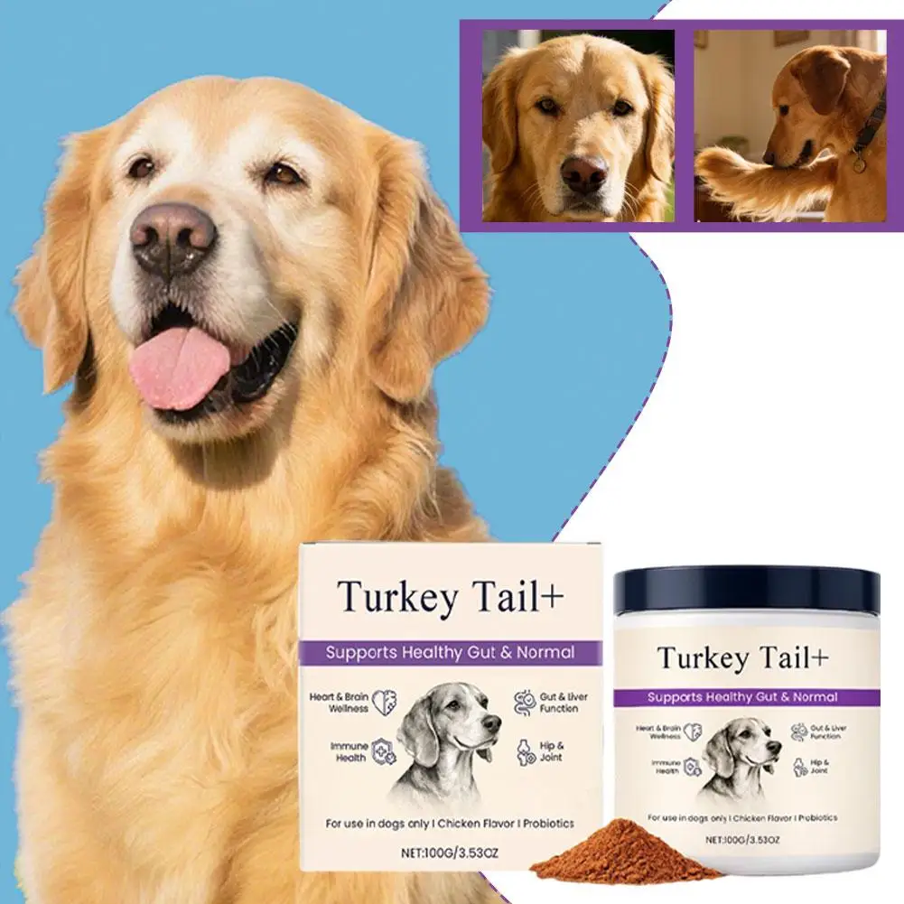 Dog Probiotic Intestinal Powder 100g Delicious Bacon Flavor Gut Flora Balance Digestive Support for Dogs Nutritional Supplement - Image 5