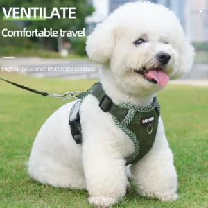 Dog Harness Cat Leash Small Dog Breathable Summer Puppy Bichon Frise Breathable Harnesses Teddy Lead Pet Leash Dog Accessories