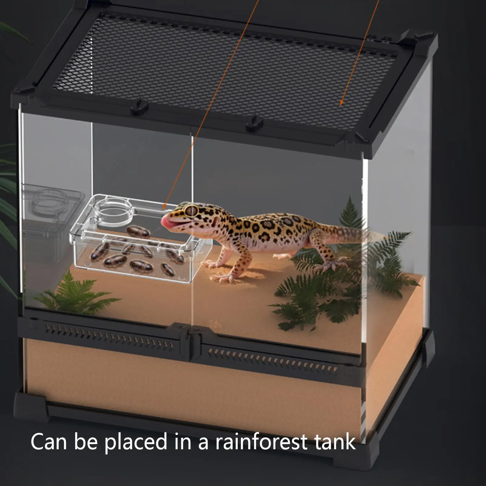 Chameleon Feeder Bearded Dragon Food Bowl Small Animal Feeders For Spider Lizard Tortoise Cage Tank Chameleon Habitat Terrarium - Image 4