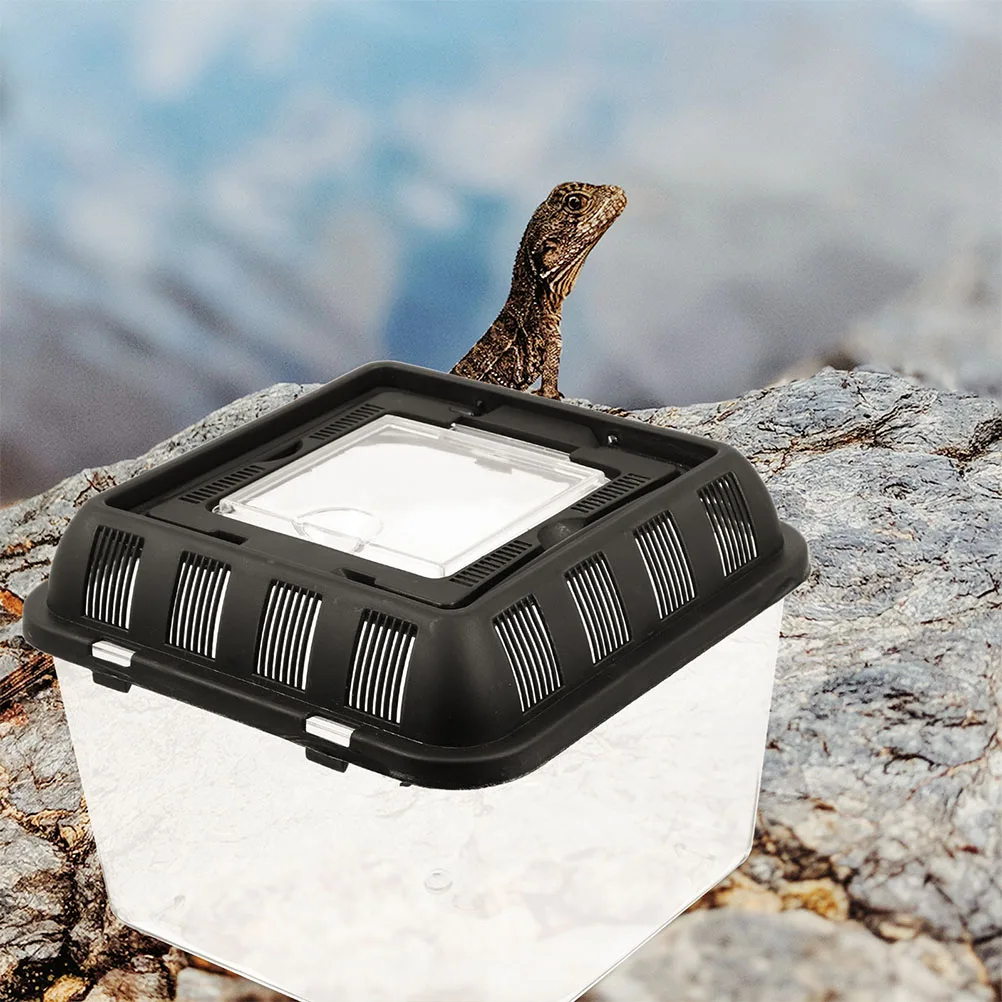 Reptile Breeding Box Black Plastic Turtle Transport Durable Lightweight Ventilation Hole Feeding Cage Storage Container Anti - Image 4