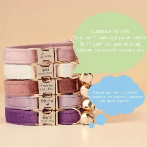 Custom Name Tag Adorable Gold Bell Soft Velvet Collar Personalized Kitten Puppy Collar Fit for Dogs Cats Ideal Gift for Pets