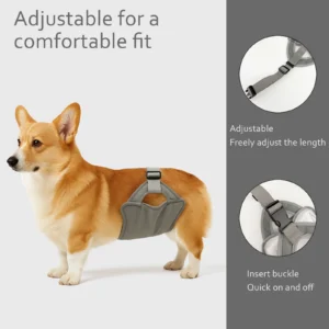 New Style Male Dog Physiological Pants Anti-Harassment Pregnancy Prevention Sanitary Pants Pet Supplies Estrus Period Outdoor