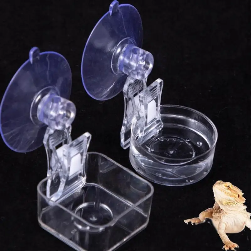 New Reptile Water Food Bowl Suction Cup Food Tray Gecko Reptile Lizards Spider Tree Frogs Feeder Habitat Decoration Pet Supplies - Image 4