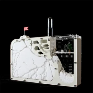 Big Formicarium Ant Nest ,ant Farm Acrylic Insect Ants House Ecological Workshop Reptile Home