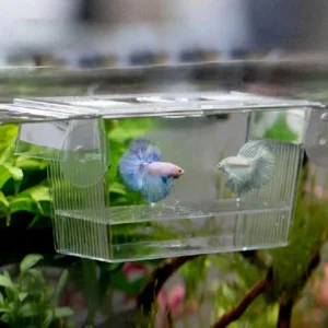 Creative Acrylic Fish Tank Breeding Incubator Aquarium Breeder Isolation Box Grow Seedling Reproduction Holder Fish Fry Aquarium