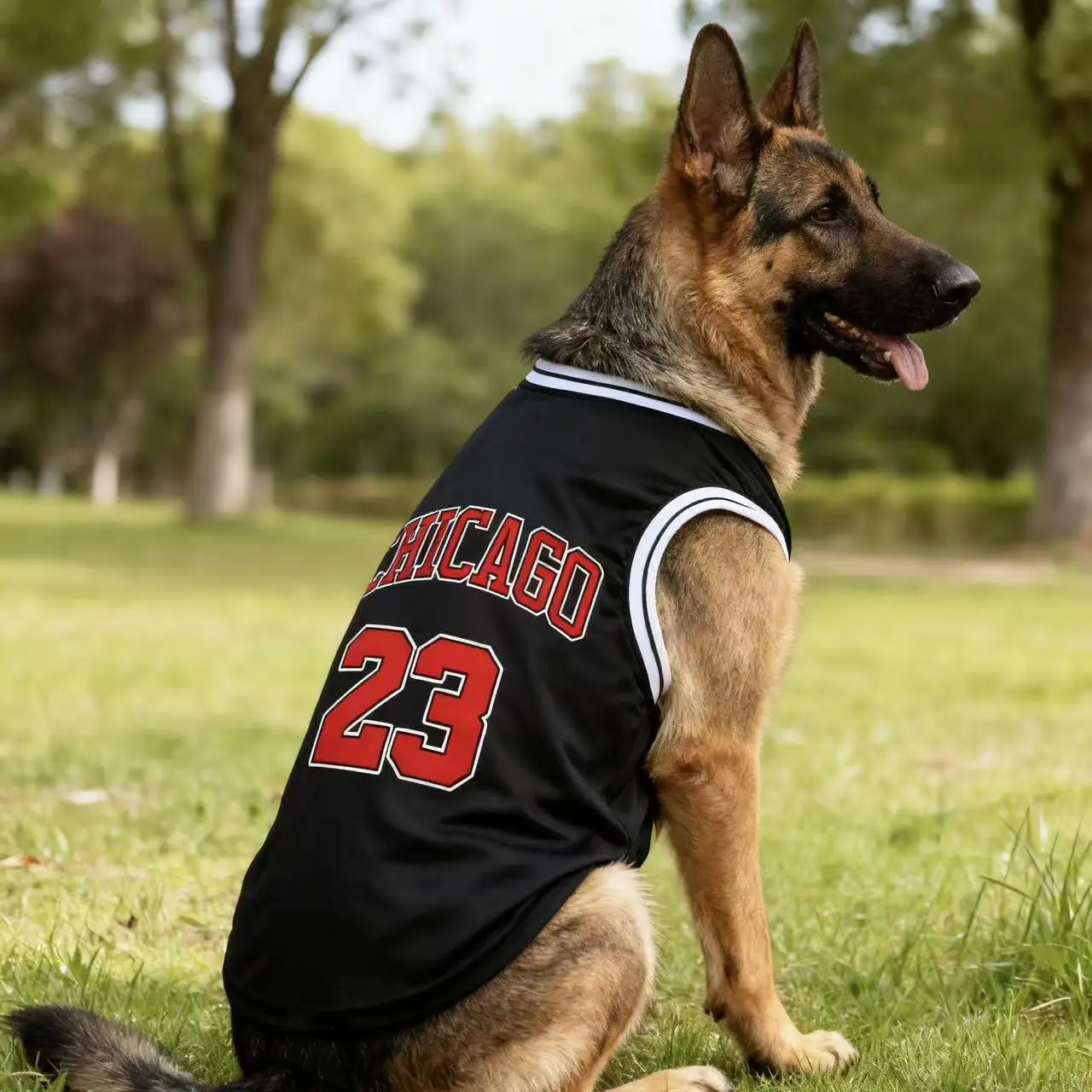 Summer Cooling Pet Dog Mesh Vest Chicago Soft Basketball Clothes Summer Casual Shirt For Medium Large Dog Labrador Pet Clothing - Image 8
