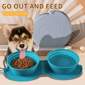 1pcs 2-in-1 foldable dual bowl feeding bowl Portable Silicone Dog Food Treat Pouch travel dog and cat drinking bowl pet Supplies