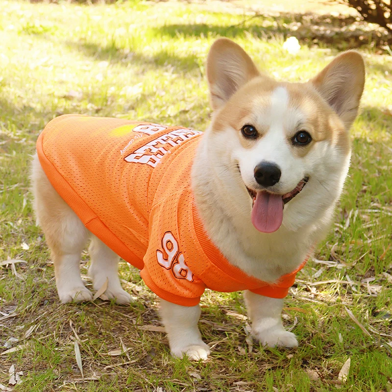 Summer LA Style Pet Dog Cooling Vest Dog Clothes Summer Breathable Shirt Small Medium Large Dog Puppy French Bulldog Pet Clothes - Image 6