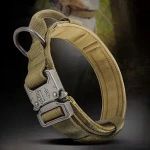 Pet Products Outdoor Tactical Dog Collar Metal Buckle Breathability Nylon Collar Medium and Large Dog Training Neck Collar Dog