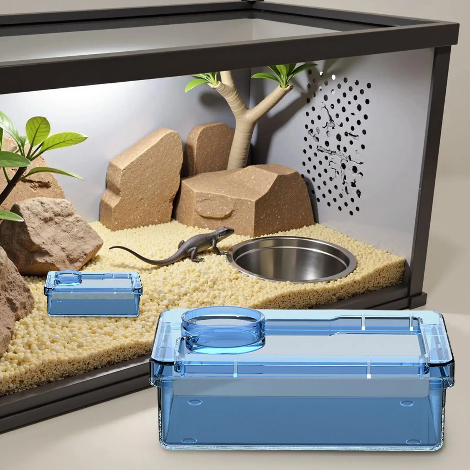 Chameleon Feeder Bearded Dragon Food Bowl Small Animal Feeders For Spider Lizard Tortoise Cage Tank Chameleon Habitat Terrarium - Image 5