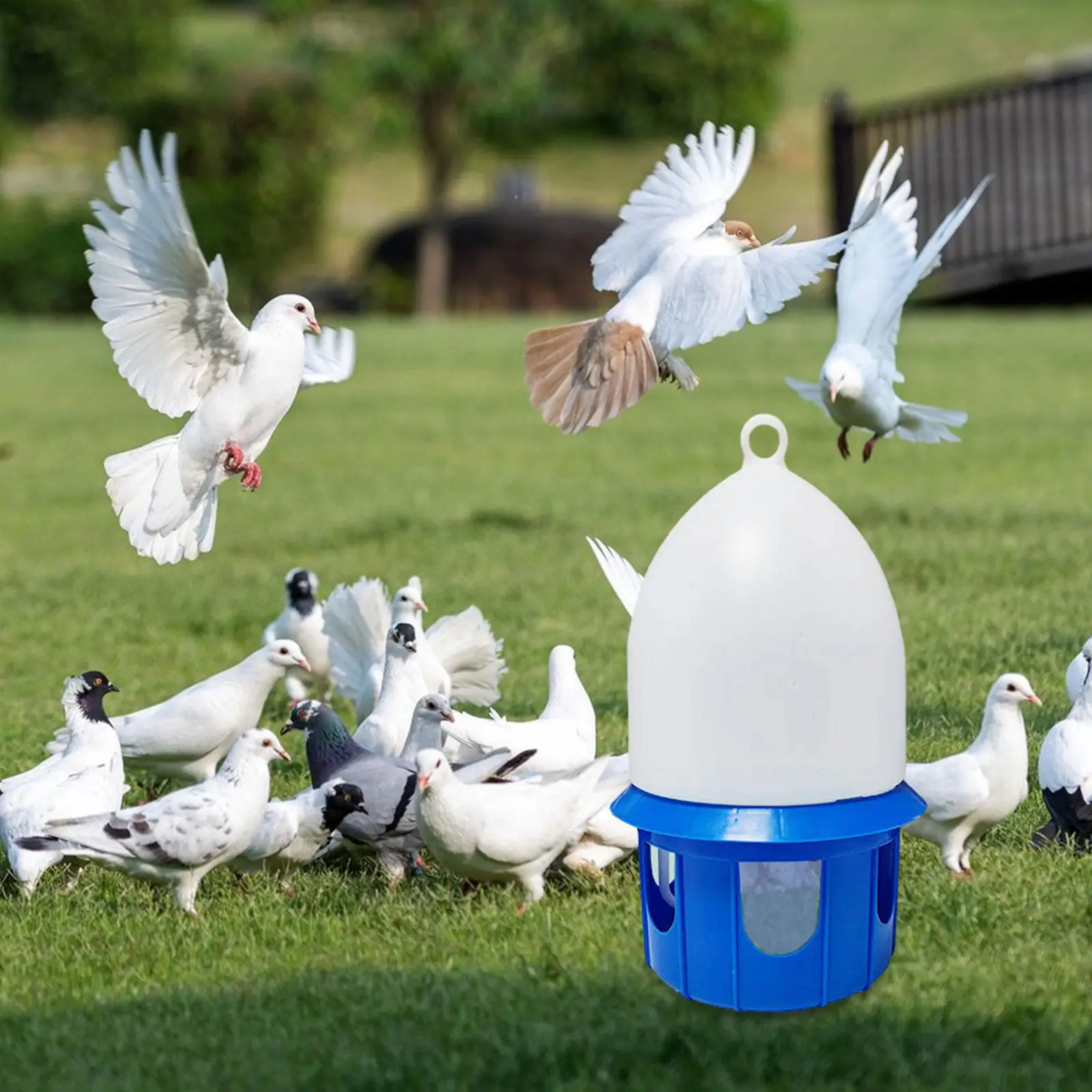 Bird Water Drinker Pigeon Water Dispenser Feeder Bird Cage Accessories Large Capacity Bird Cage Accessories with Hanging Handle - Image 3