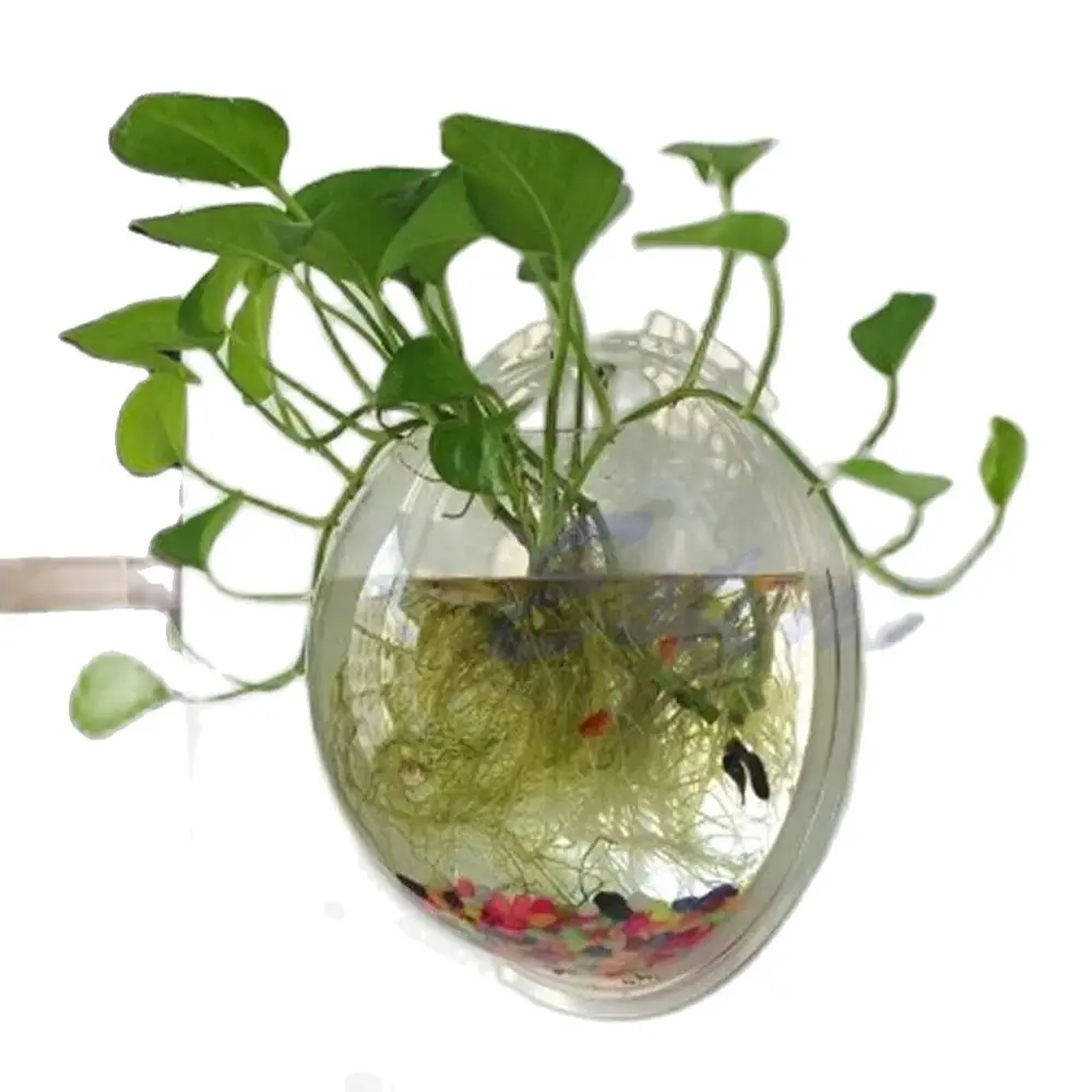 Wall Mounted Acrylic Fish Bowl Transparent Wall Hanging Fish Tank Wall Mounted Aquarium Wall Plant Pot Planter - Image 5