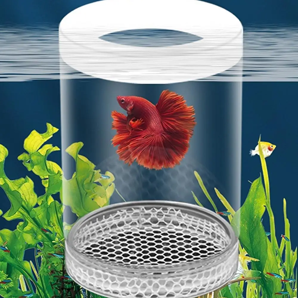 Floating Fish Breeding Isolation Box Fish Tank Hatching Incubator Small Fish Birthing Room Incubator Aquarium Breeder Tools - Image 5