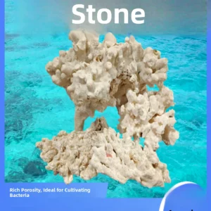 Natural Coral Aquarium Decoration Stones Fish Tank Fake Mountain Dead Stone Live Stone Cute Pet Hideaway House Coral Bone Fil...