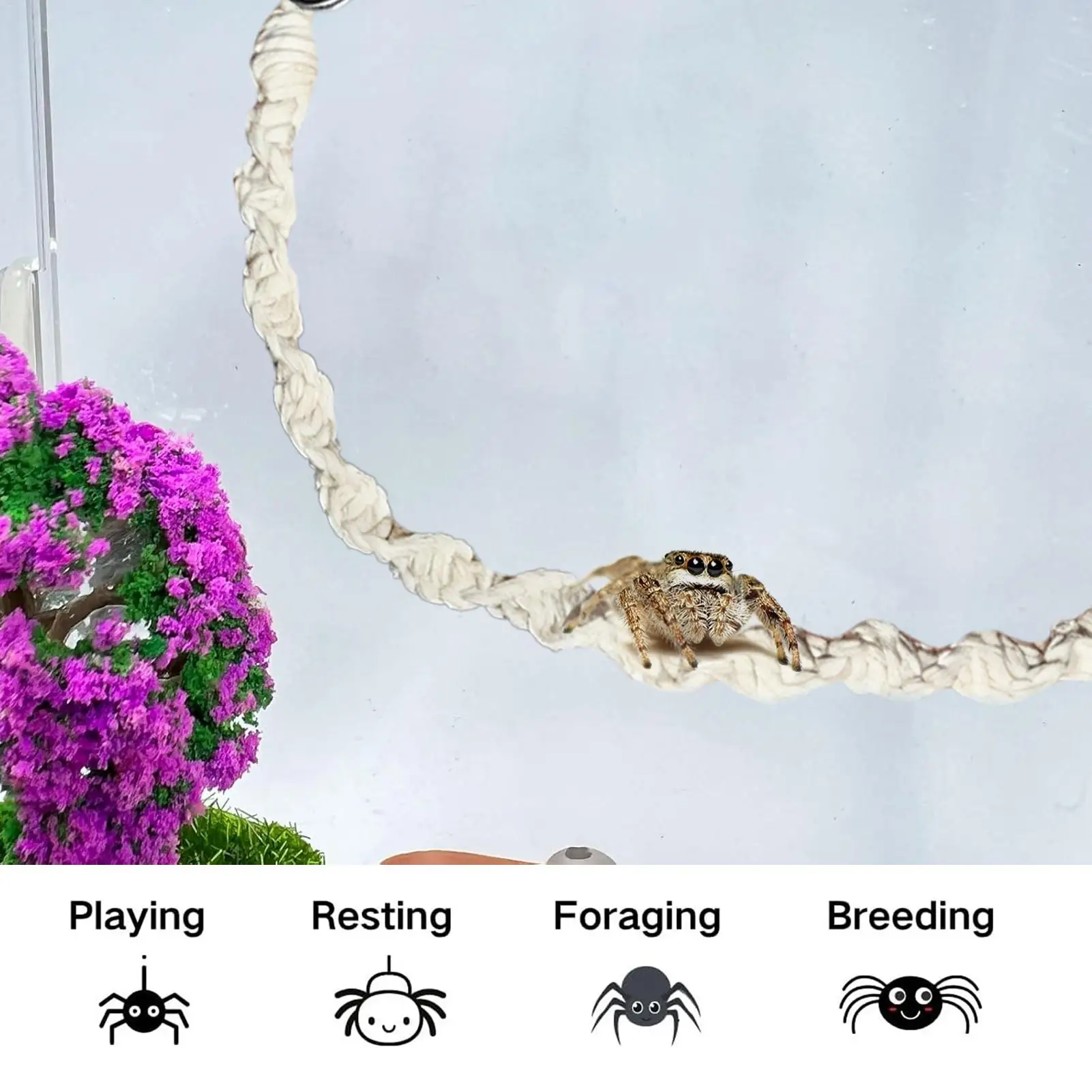 Jumping Spider Enclosure Accessories Hangable Rope Climbing Swing Jumping Spider Terrarium Decor For Terrarium Breeding Geckos - Image 2