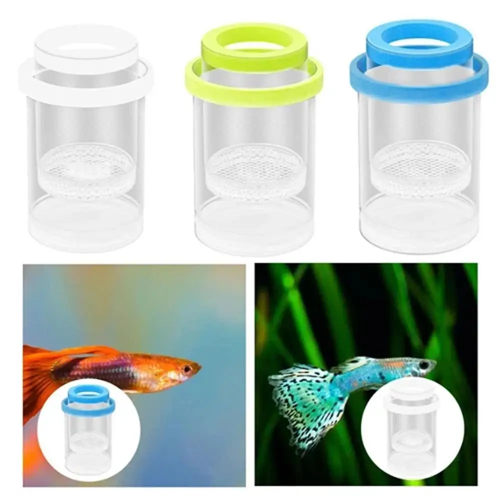 Floating Fish Breeding Isolation Box Fish Tank Hatching Incubator Small Fish Birthing Room Incubator Aquarium Breeder Tools - Image 4