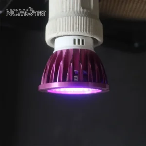 Reptile 110/220V Night Lamp Imitation Moonlight Light Night Sleep Lighting Lamp for Turtle Lizard Snake Reptile Amphibian