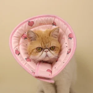Breathable Mesh Elizabethan Collar for Cats Dogs, Soft Recovery Cone with Adjustable Strap, Post-Surgery Protection (S/M/L/XL)