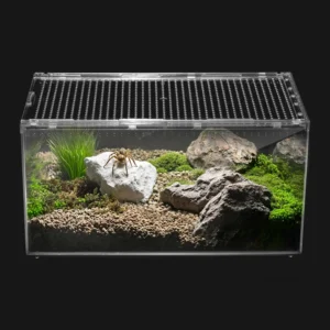 Reptile PC Terrarium Transparent Spider Tank Starter Kit for Leopard Gecko Lizard Enclosure