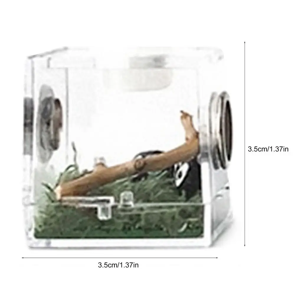 Mini Reptiles Breeding Box Clear Acrylic Cage Habitat Insect Feeding Box Terrarium Tank Escape Proof For Jumping Spider - Image 9