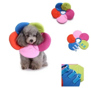 Cat Collar Pet Protective Collars for Dogs Cats Wound Healing Protection Elizabethan Collar Pet Cat Anti-bite Recovery Circle