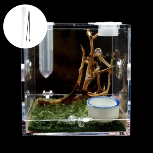 Small Reptiles Breeding Box Clear Acrylic Cage Habitat Insect Feeding Box Pet Terrarium Tank Escape Proof For Jumping Spider