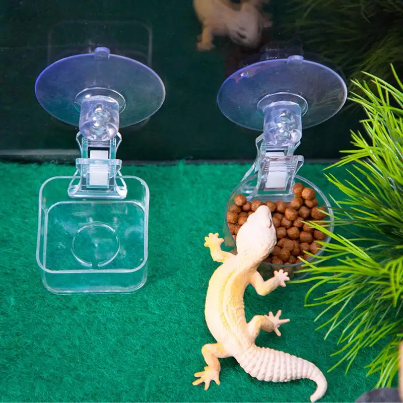 New Reptile Water Food Bowl Suction Cup Food Tray Gecko Reptile Lizards Spider Tree Frogs Feeder Habitat Decoration Pet Supplies - Image 2