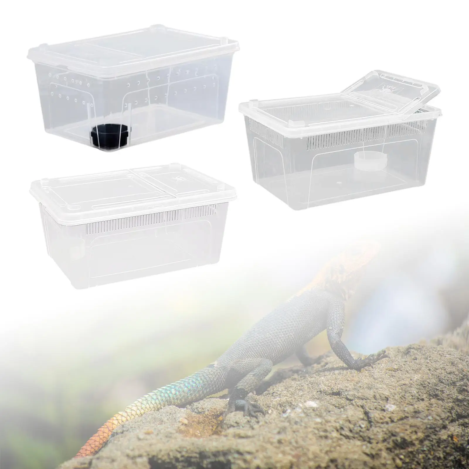 Reptile Feeding Box Hatching Container Cage Transparent House Breeding Box for Frog Turtle Bearded Dragon Scorpion Snake