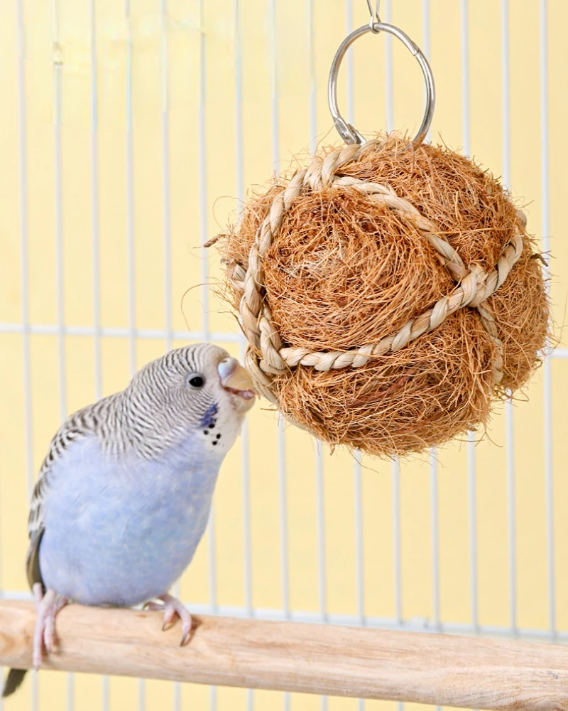 Training Bird Swing Biting Chewing Cage Toys Hanging Parrot Bird Molar Ball Toy Articles Parrot Bite Pet Bird Toy for Parrot - Image 4