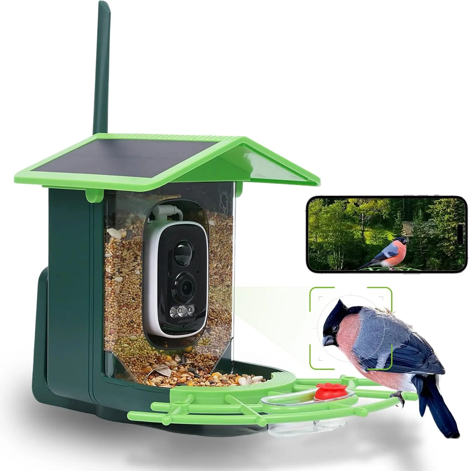 4MP 2.5K WIFI Bird feeder Camera Real Time Bird watching APP Full color Night Vision Smart AI bird recognition with Solar Panel