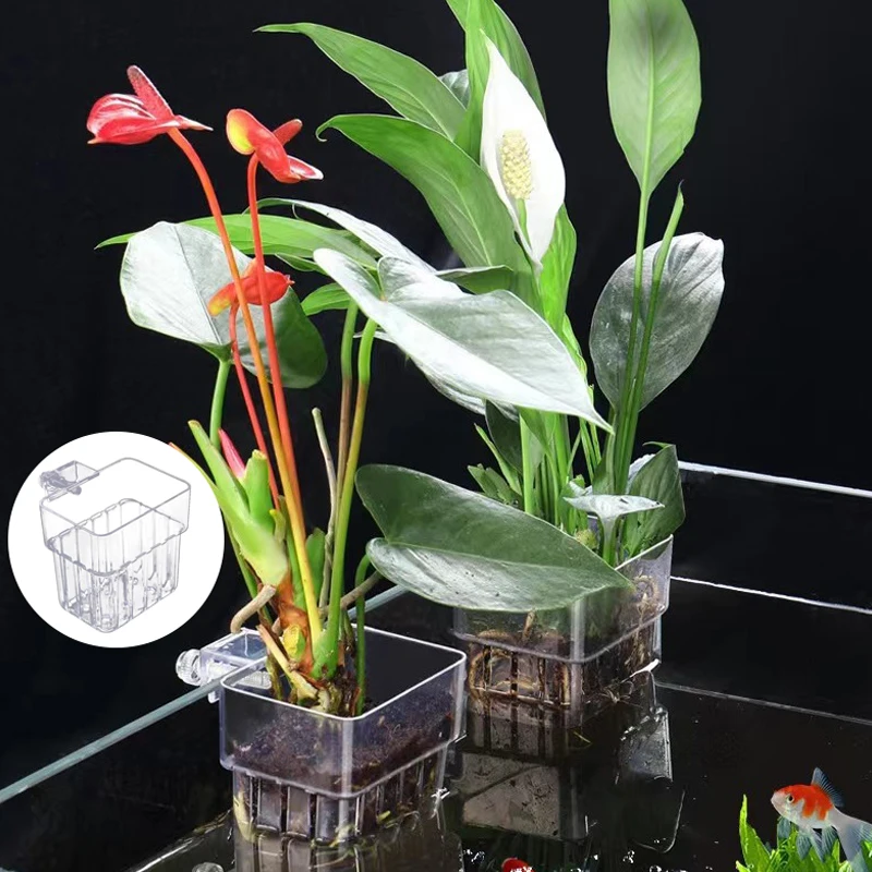 Multifunctional Fish Aquarium Water Grass Planting Cup Breeding Isolation Box Fish Tank Hydroponic Plants Fish Tank Landscaping - Image 4