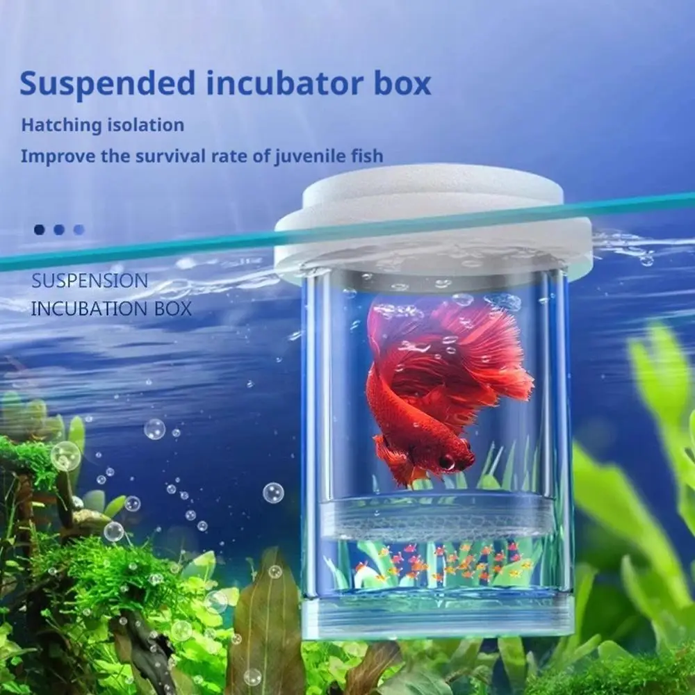 Floating Fish Breeding Isolation Box Fish Tank Hatching Incubator Small Fish Birthing Room Incubator Aquarium Breeder Tools - Image 3