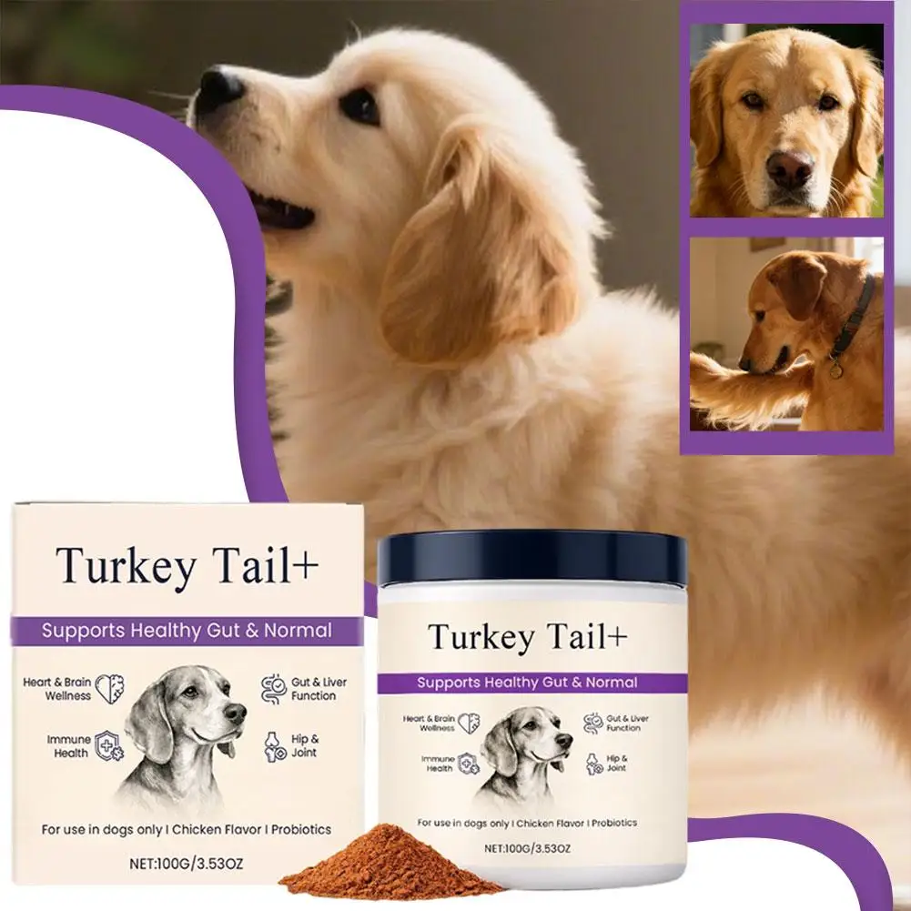 Dog Probiotic Intestinal Powder 100g Delicious Bacon Flavor Gut Flora Balance Digestive Support for Dogs Nutritional Supplement - Image 4