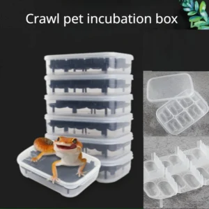 2PCS Hatch Device Climbing Pet Incubator Supplies Snake Lizard Reptile Egg Tray Boxes Transparent Reptiles Eggs Hatching Box